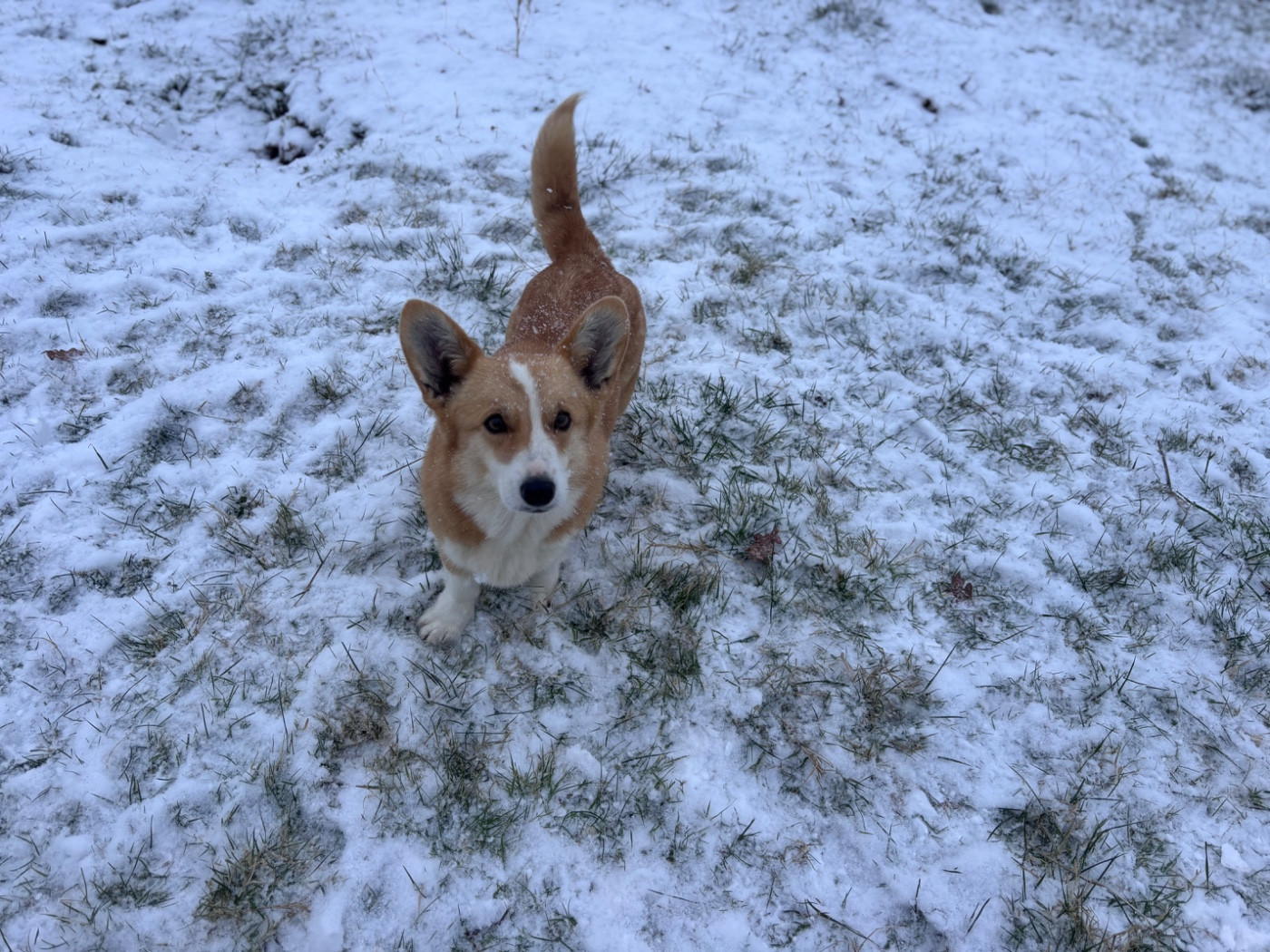 Uska Des Yeux D'Osiris